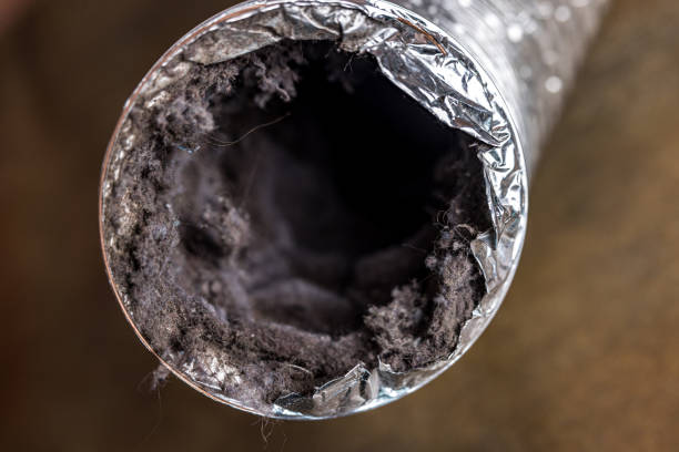 Best Air Duct Cleaning Near Me  in Fallston, MD