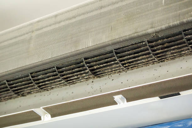 Best Emergency Air Duct Cleaning  in Fallston, MD